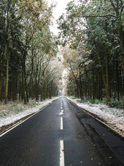 Country road with snowy trees in winter in germany