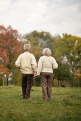 Elderly couple goes away through the alley in autumn park
