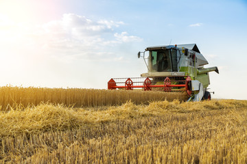 Combine harvester in action on wheat field