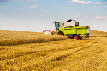 Combine harvester in action on wheat field