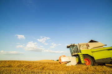Obraz premium Combine harvester in action on wheat field