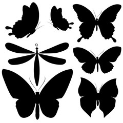 black butterflies,isolated on a white