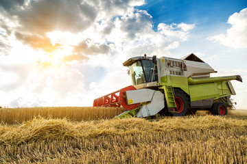 Combine harvester in action on wheat field