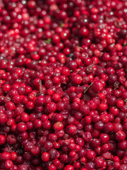 Cranberries.