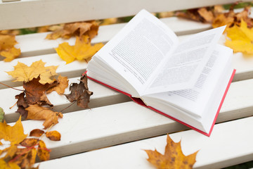 Naklejka na ściany i meble open book on bench in autumn park