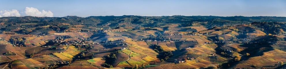 Vineyards of Langhe (Piedmont, Italy)