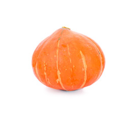 Pumpkins isolated on white background