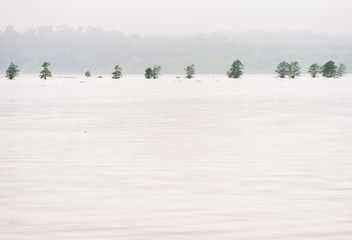 Martin Dies, Jr. State Park