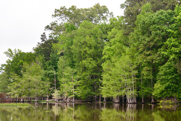 Martin Dies, Jr. State Park