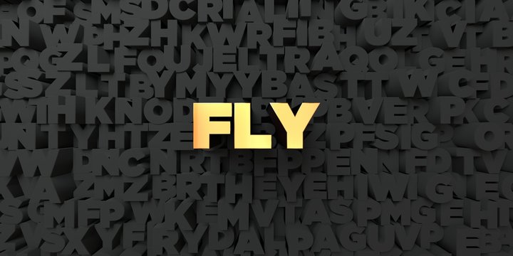 Fly - Gold text on black background - 3D rendered royalty free stock picture. This image can be used for an online website banner ad or a print postcard.