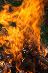 Close up details of wood burning on fire.