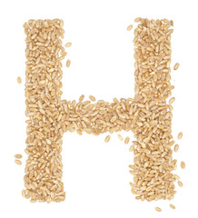 wheat berries