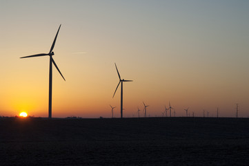 Windfarm scene