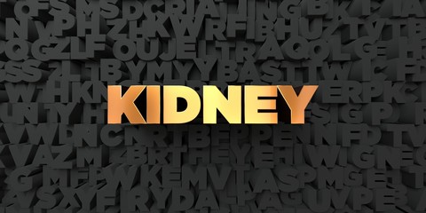 Kidney - Gold text on black background - 3D rendered royalty free stock picture. This image can be used for an online website banner ad or a print postcard.