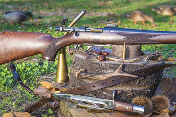 Hunting carabine, hunting knife, hunting horn and several antlers on tree stums outdoors