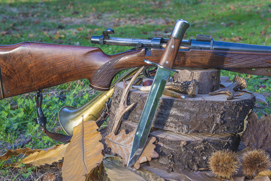 Hunting carabine, hunting knife, hunting horn and several antlers on tree stums outdoors