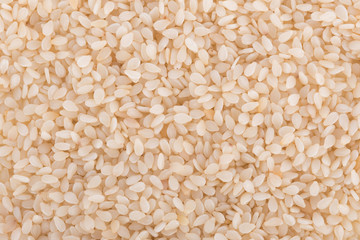 white sesame seeds background