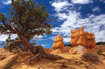 Bryce Canyon
