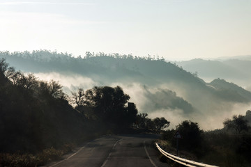Foggy hills and road