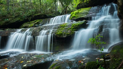 Foto op Plexiglas Beautiful waterfall in deep jungle © peangdao