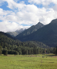 Farm on meadow surrounded by high mountains