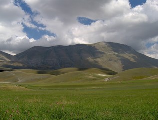 Vettore mountain view