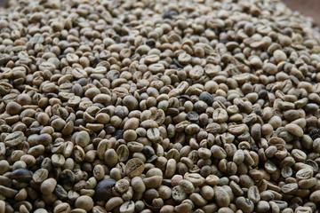 Kopi Luwak, Rohkaffee