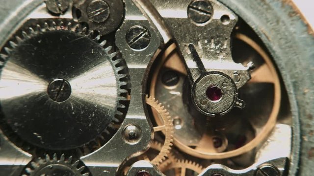 macro view of the watch mechanism