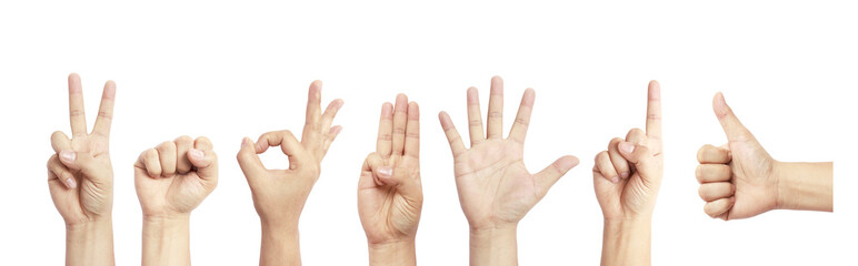 Set of many different man's hands isolated over white background
