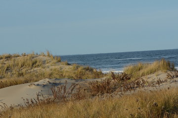 Dunes on beach