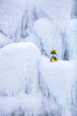 Naklejka premium Fairytale character the snowman in hat and scarf.