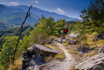 Mountain bike excursion in the Casentino National Park, Tuscany