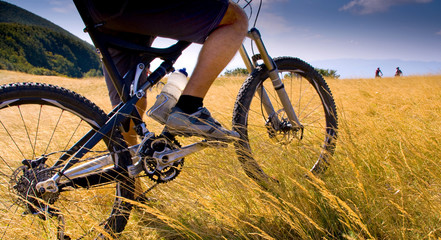 Mountain bike excursion in the Casentino National Park, Tuscany