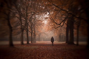 Herbstdepression - Mann läuft durch Herbstwald