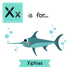 X letter tracing. Xiphias (Swordfish). Cute children zoo alphabet flash card. Funny cartoon animal. Kids abc education. Learning English vocabulary. Vector illustration.