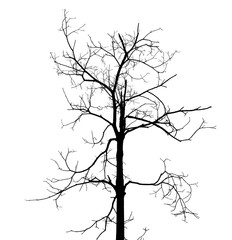 dead tree