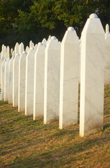 Islamic graves at sunny landscape