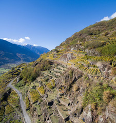 Terrazzamenti e vigneti in Valtellina - Vista panoramica sulla vallata