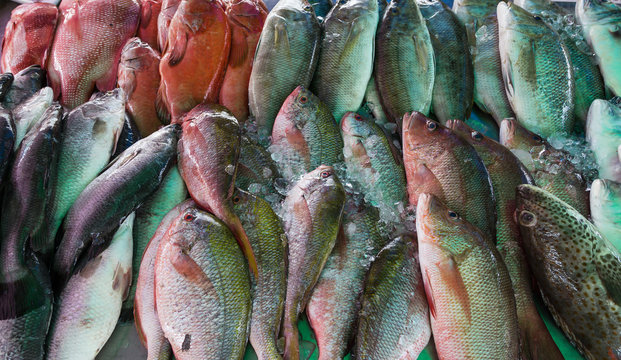 Frischer Fisch auf dem Fischmarkt.