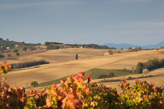 Paesaggio rurale nei pressi di Montefalco in Umbria