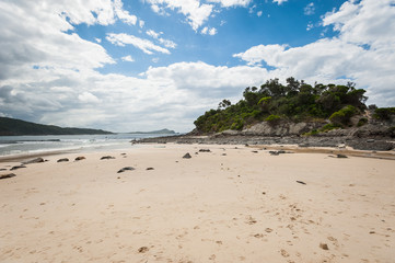 wybrzeże ocean australia skały © BlackMediaHouse
