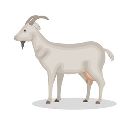 Obraz na płótnie Canvas goat animal farm icon vector illustration design