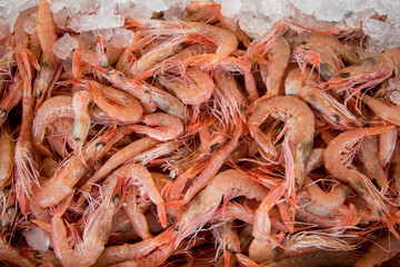 The raw shrimps background.