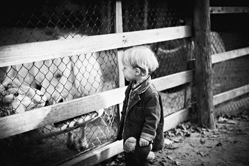 Cute little boy in zoo b&w