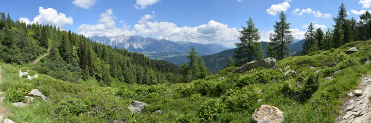 Fototapeta na wymiar Alpen-Panorama in der Steiermark