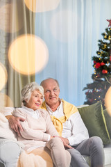 Fototapeta premium Elderly couple near christmas tree