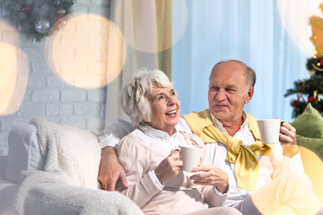 Husband and wife celebrating christmas