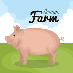 pig animal farm icon vector illustration design