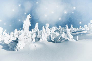 Fototapeta na wymiar Christmas winter landscape with snowy trees and snowflakes