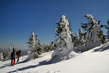 Fototapeta na wymiar People hiking in beautiful winter mountains